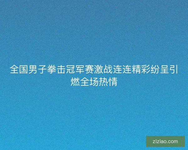 全国男子拳击冠军赛激战连连精彩纷呈引燃全场热情